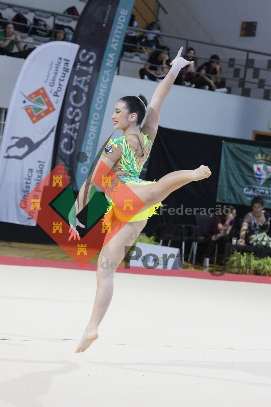 2082_Campeonato Nacional 1ª Div - ACRO